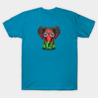 Baby Elephant with Glasses and Malawi Flag T-Shirt